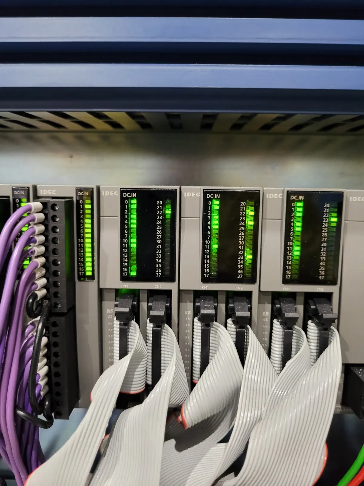 Close view of IDEC input modules, with their status lights on and ribbon cables plugged in below